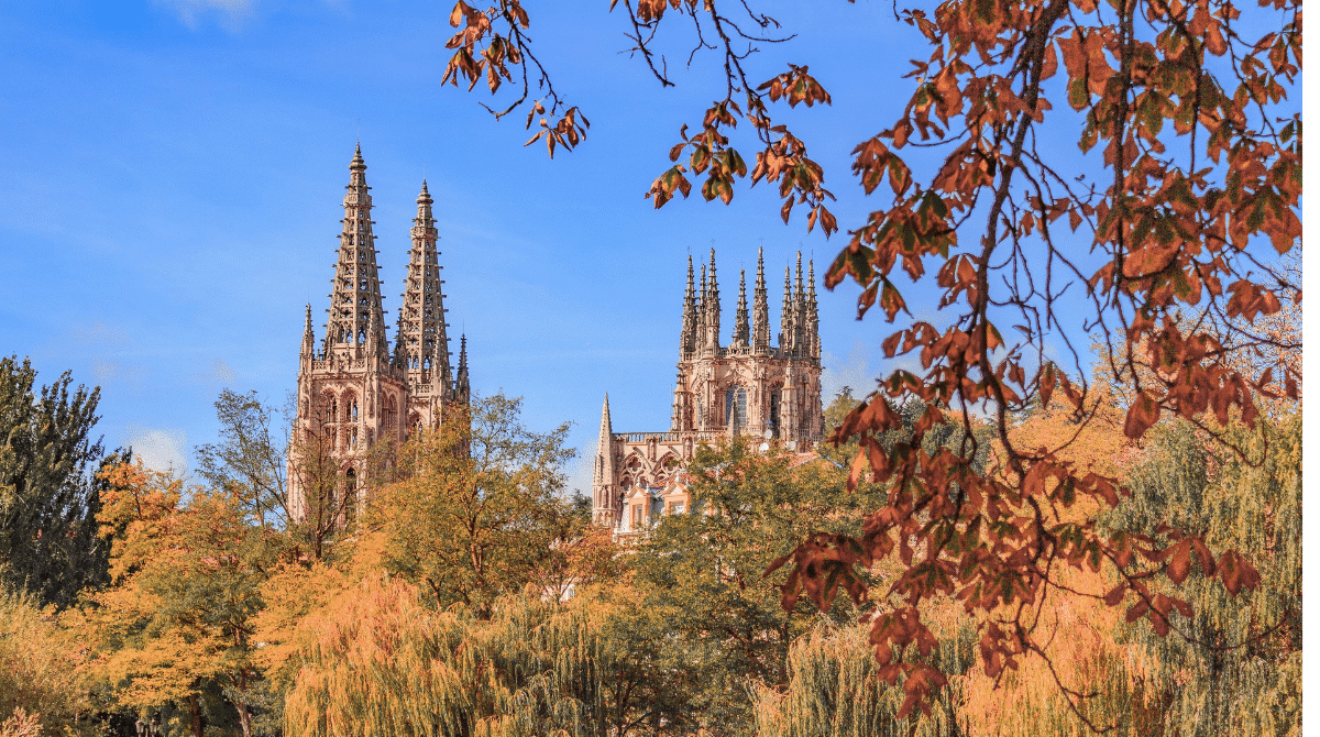 catedral-burgos