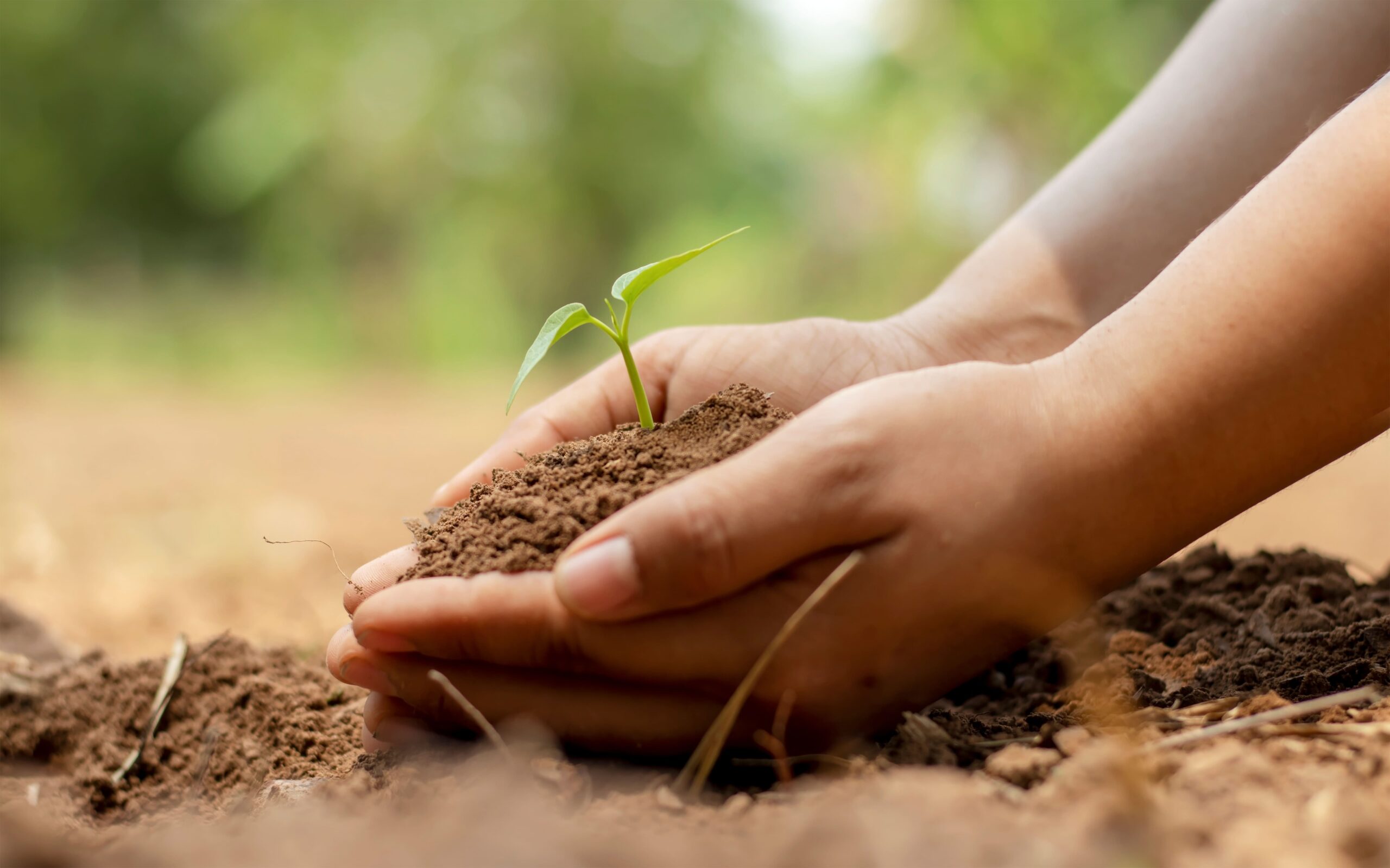 Cultivando la tierra