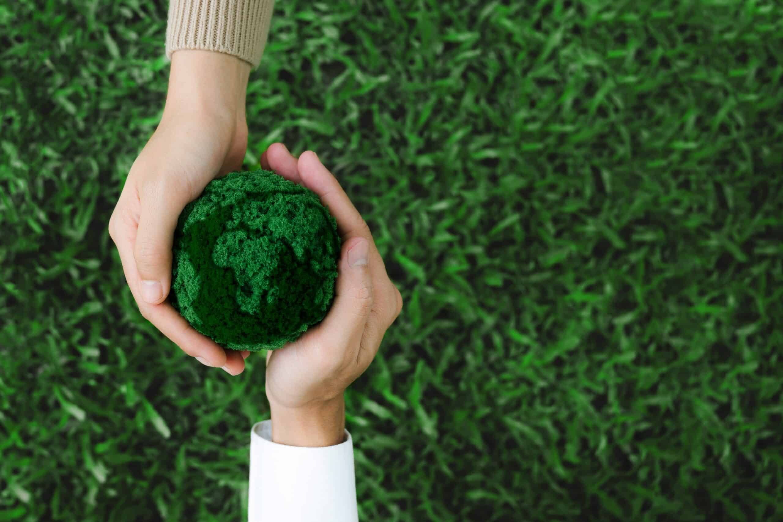 Dos manos sujetanto una bola verde que simula el planeta tierra.