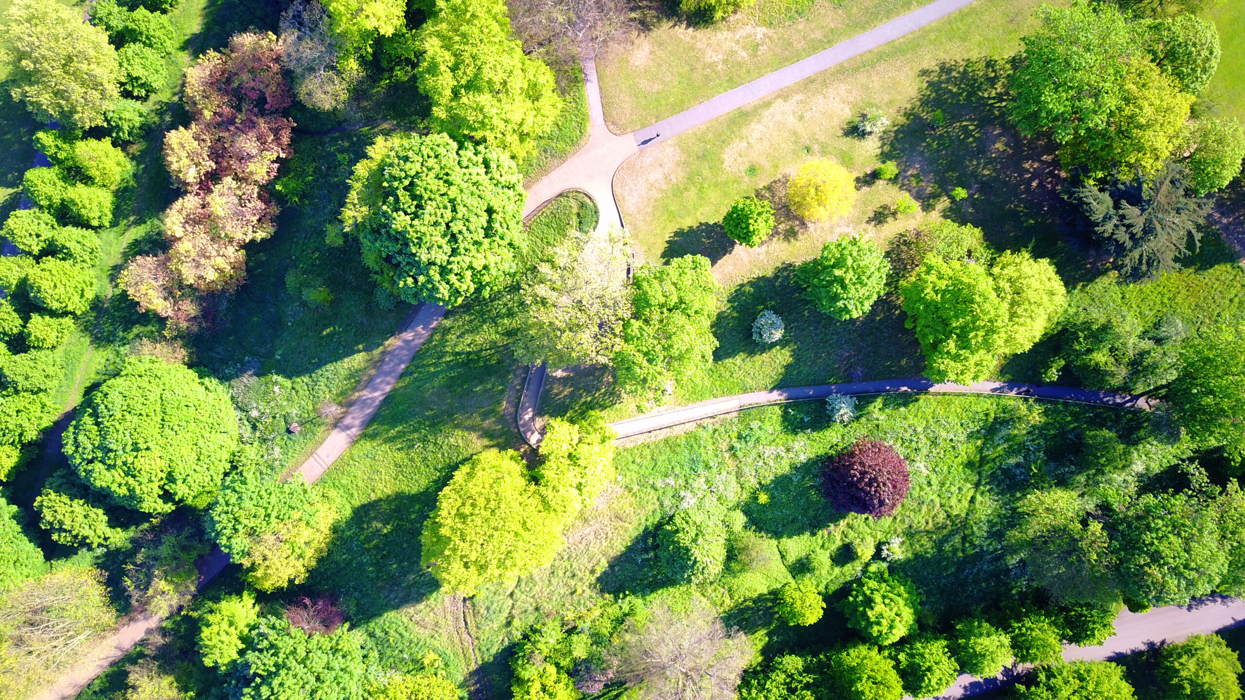 Vista aérea de un parque urbano con caminos peatonales y abundante vegetación.
